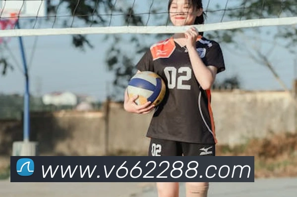 v66APP 封面图